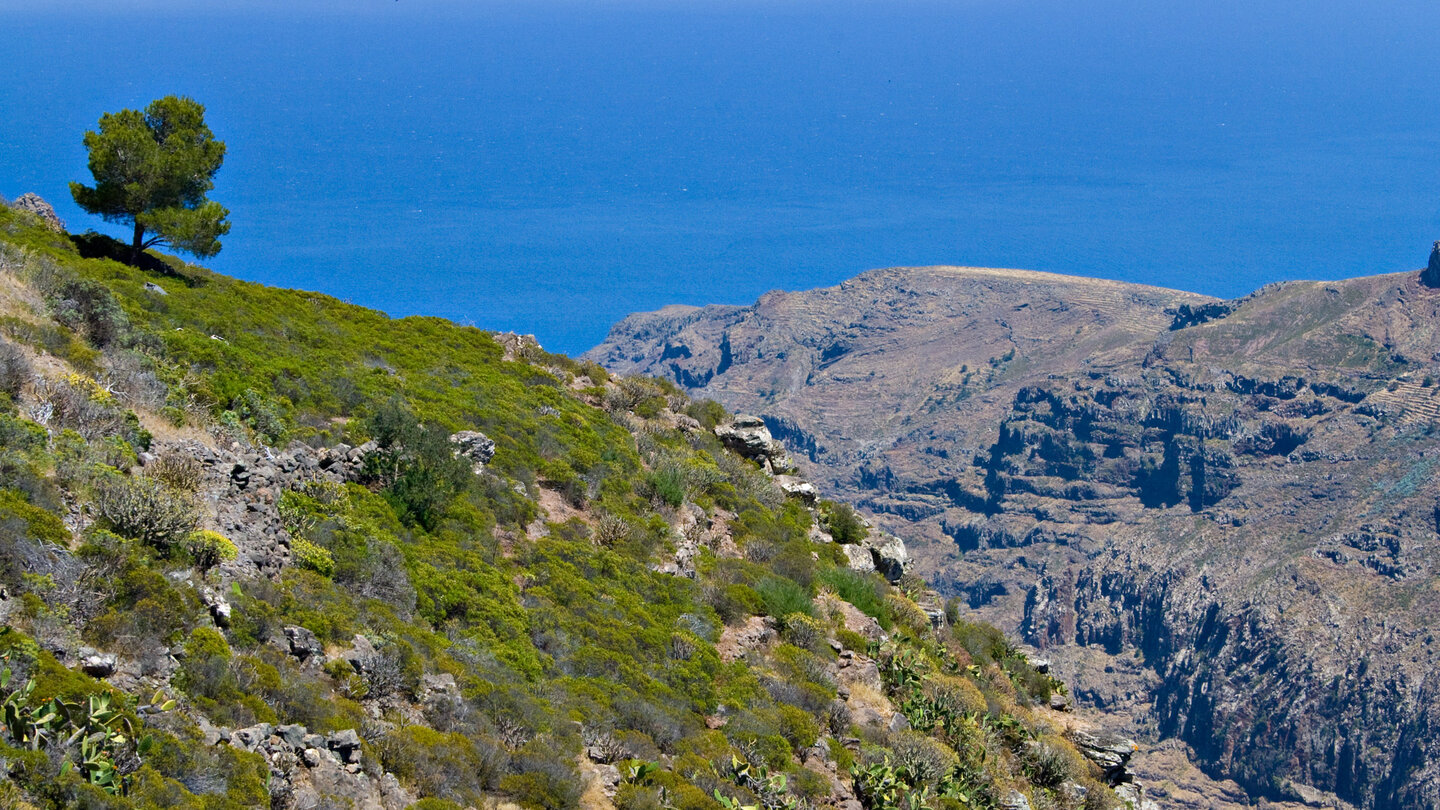 Blick über den Barranco de Juan de Vera zum Atlantik vom Aussichtspunkt Mirador Degollada de Peraza auf La Gomera