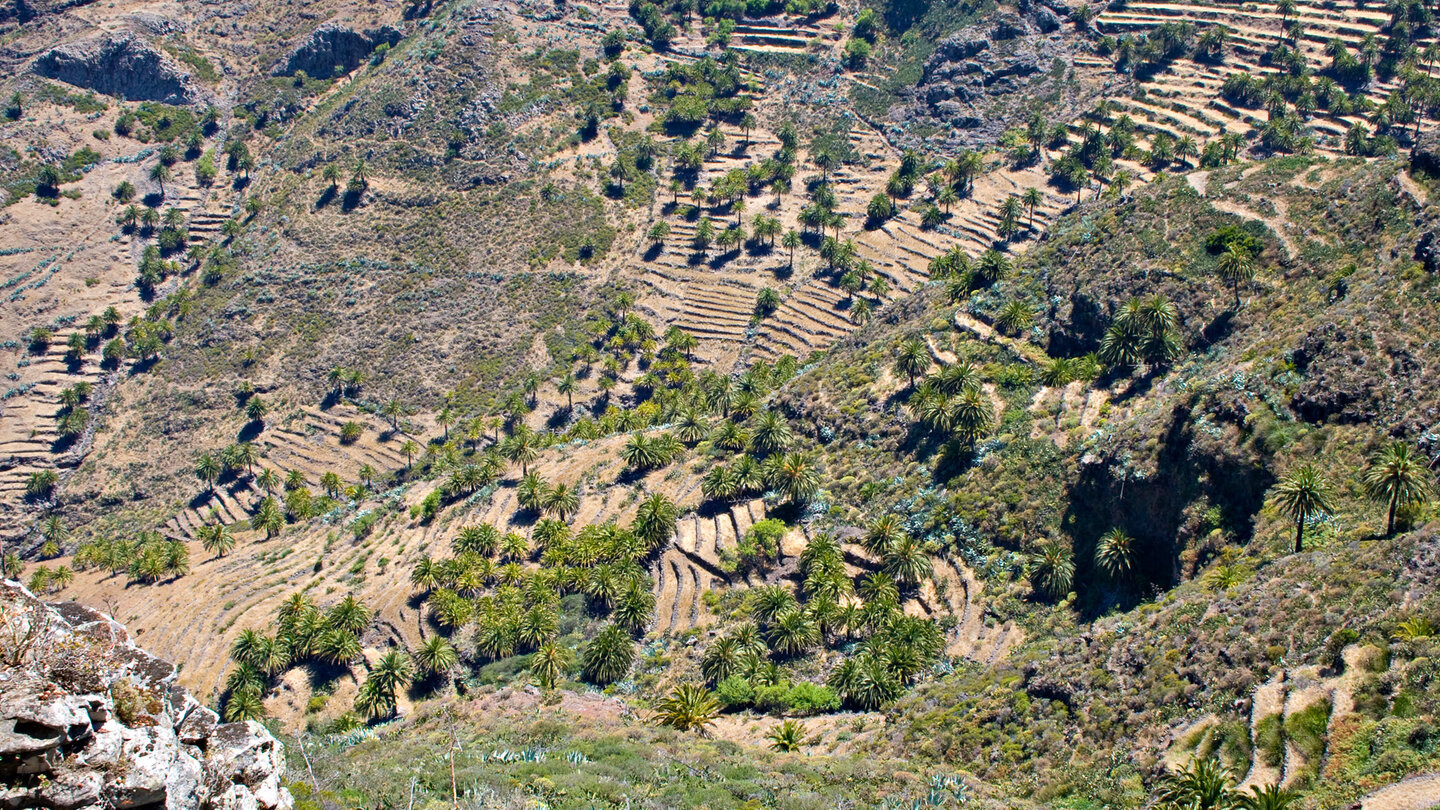 die Terrassenfelder im Barranco de Juan de Vera vom Aussichtspunkt Mirador Degollada de Peraza auf La Gomera