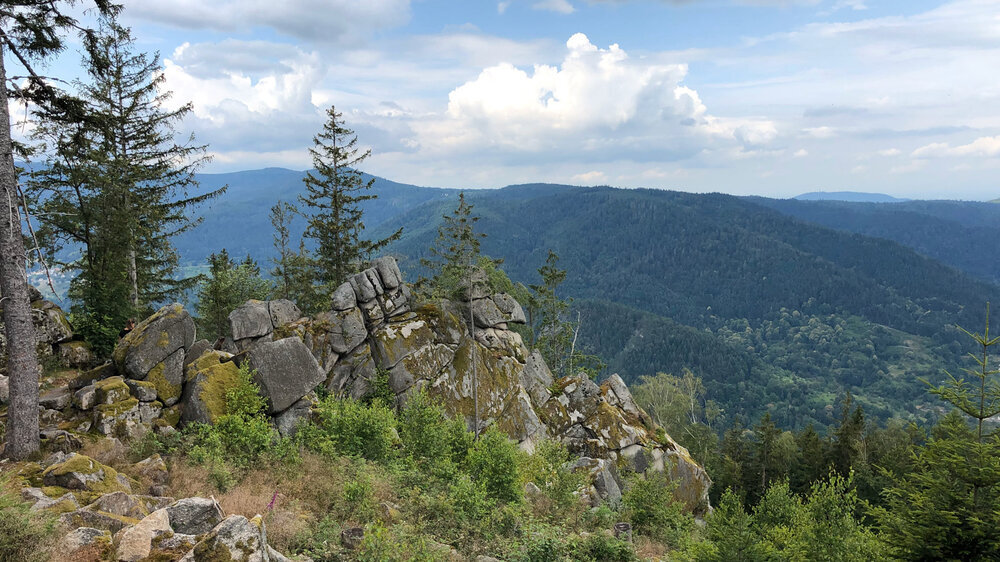 Aussicht Hohe Schaar