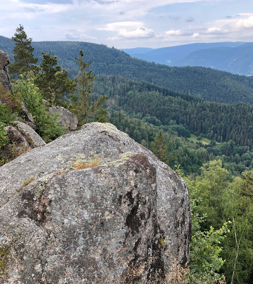 Blick über das Murgtal von den Felsen Hohe Schaar