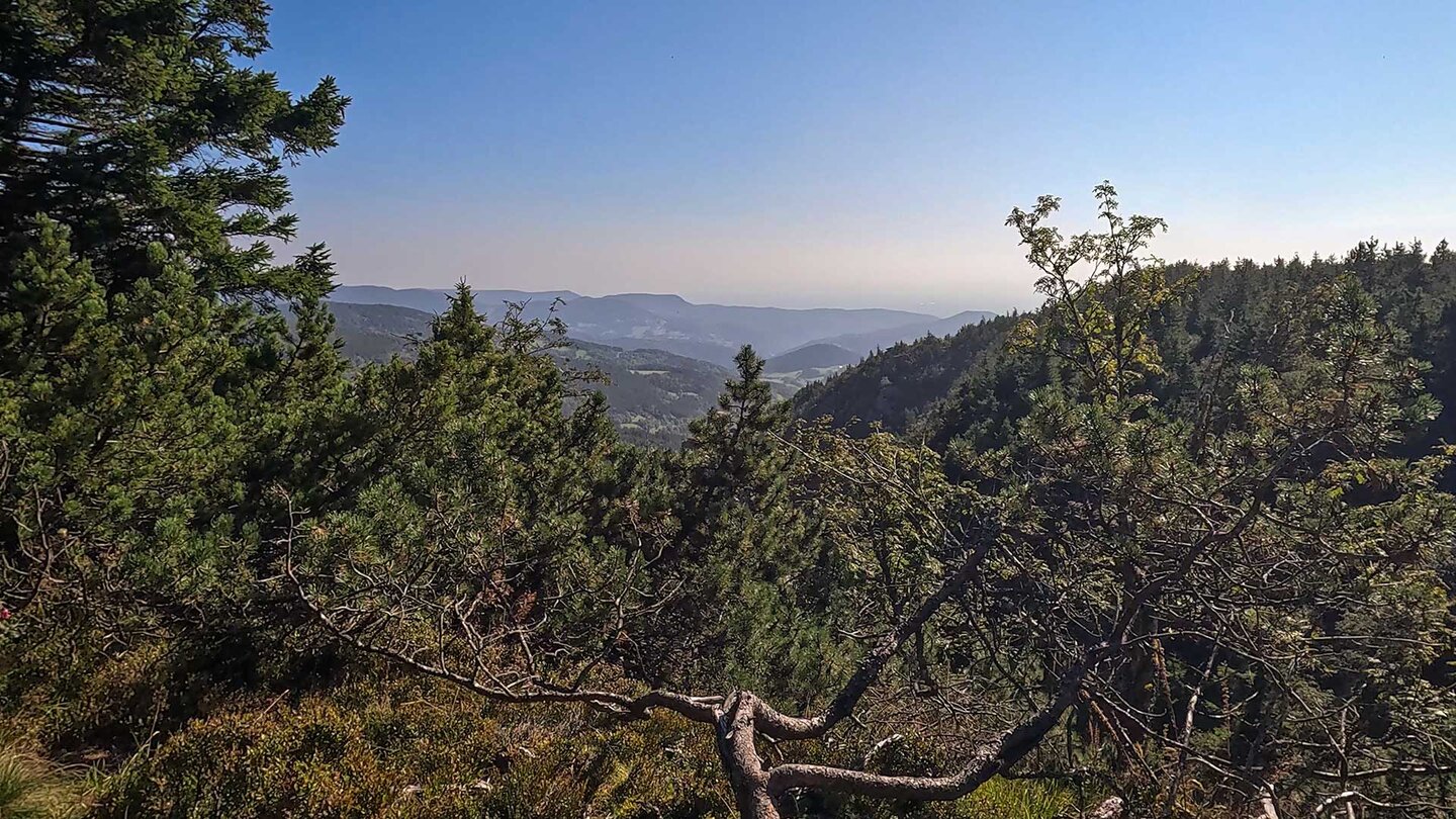 Panoramablicke der Vogesen bei der Wanderung vom Lac Blanc