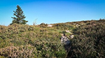 Réserve Naturelle de Tanet-Gazon du Faing