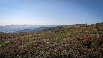 Berglandschaft der Hochvogesen vom Soultzeren Eck