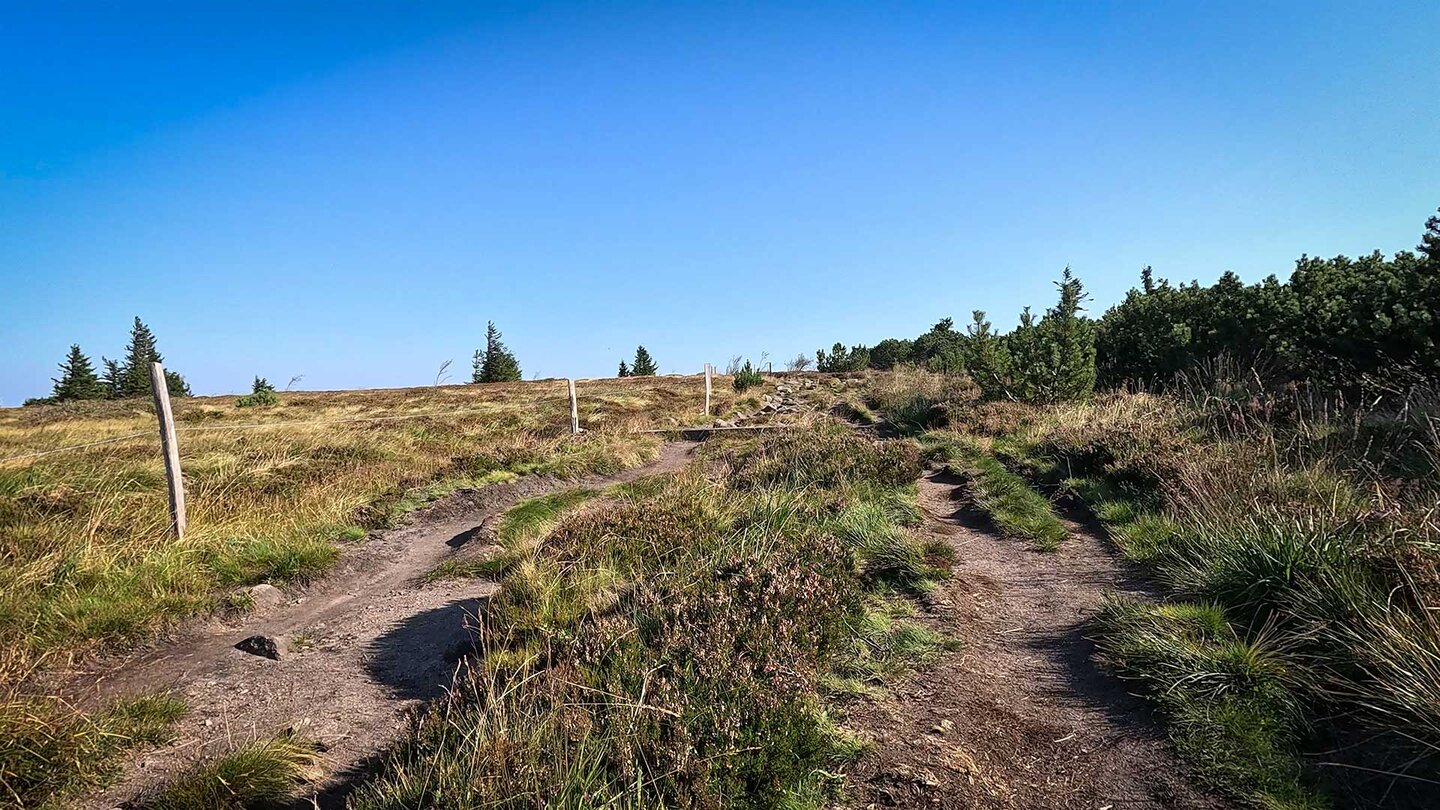 Wanderung über die Hochebene der Hautes Chaumes