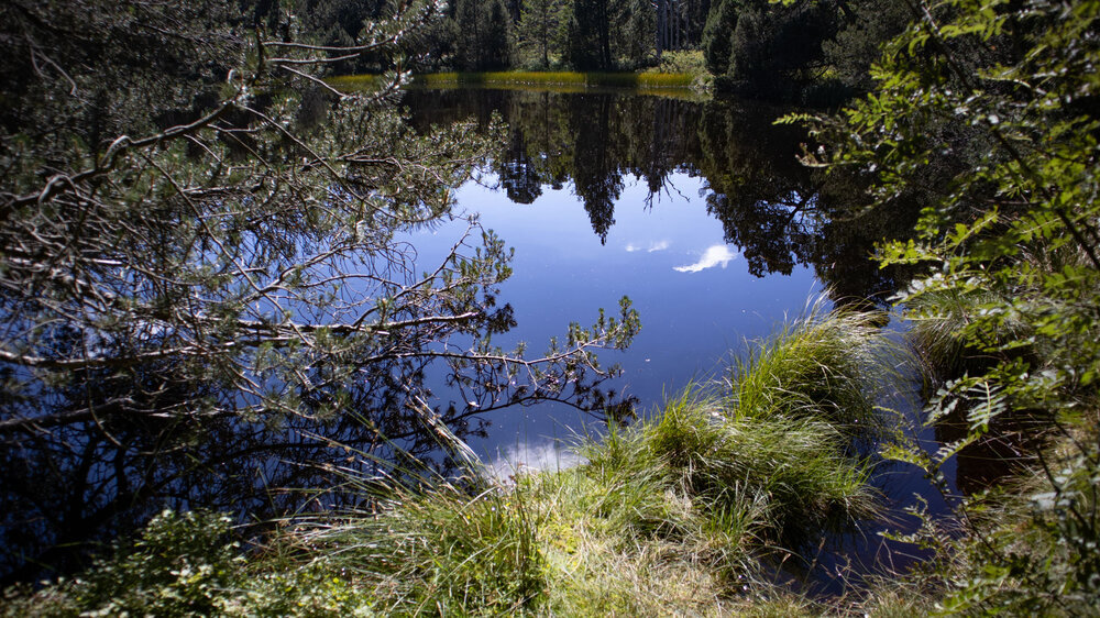 Blindensee Hochmoor und Naturschutzgebiet