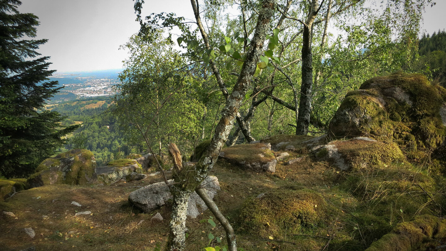 der Bereich vor den Lautenfelsen