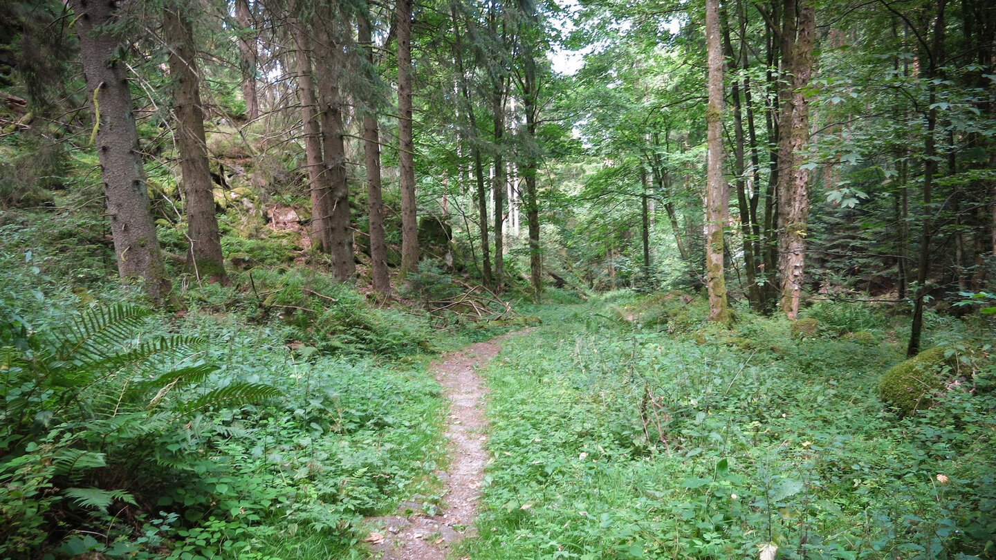 Weg von Lautenbach Richtung Ahornwiese