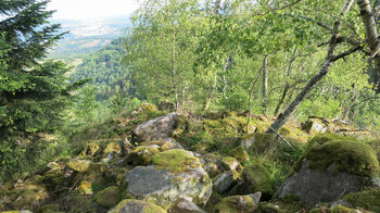 überwucherte Steine vor den Lautenfelsen