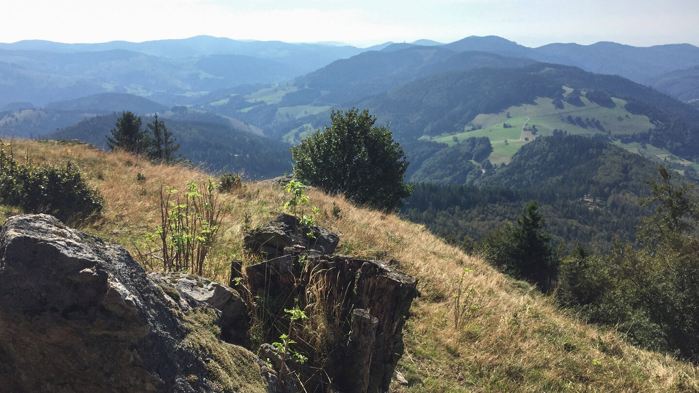 Blick auf das Bergpanorama beim Aufstieg zum Belchenvom Hohfelsen