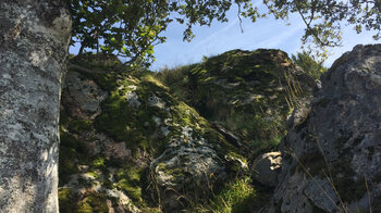 Felsformationen am Belchen-Wanderweg