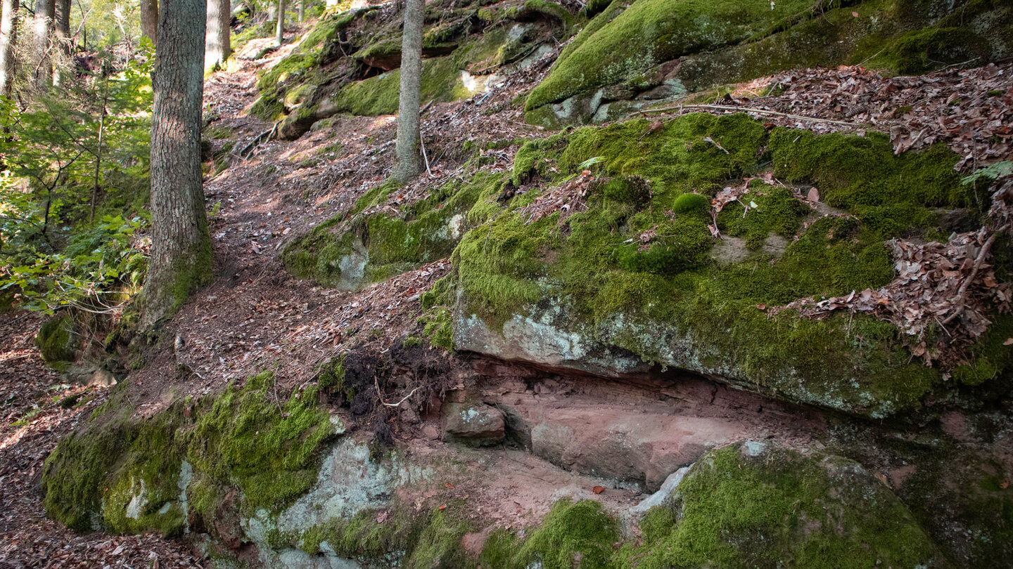 bemooste Felsformationen am Wanderweg