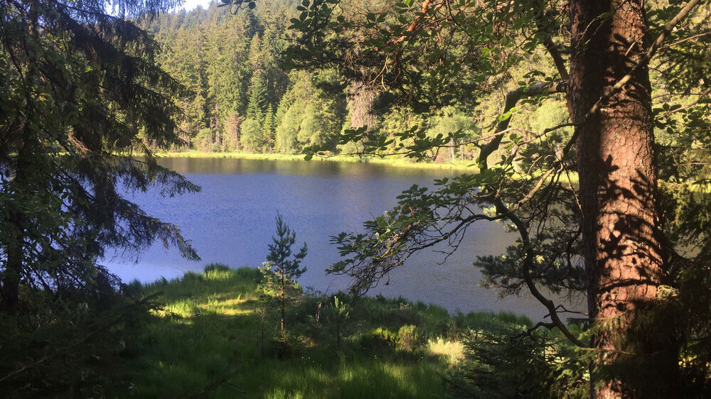 der Herrenwieser See ist kleinste der Karseen im Nordschwarzwald