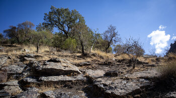 Felsige Landschaft am Wanderweg