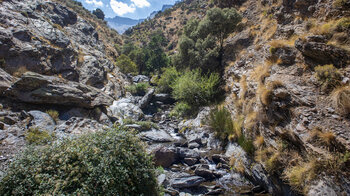 wildes Flussbett des Río Guarnón - Vereda de la Estrella