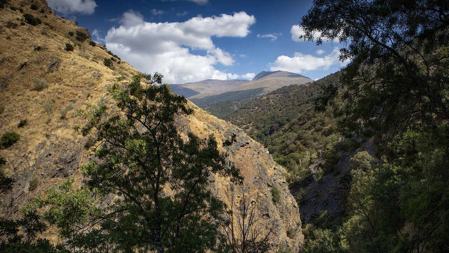 Aussicht auf die Bergwelt der Sierra Nevada am Wanderweg Vereda de la Estrella