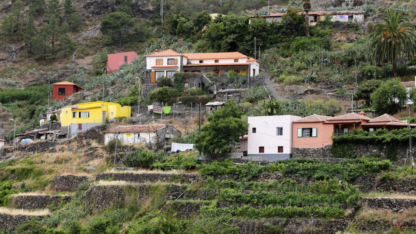 terrassierte Felder vor den Häusern in La Laja auf La Gomera