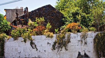 traditionelle Häuser mit umliegenden Nutz- und Blumengärten in El Pinar auf El Hierro