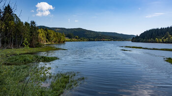 Wanderung am Ufer des Schluchsee