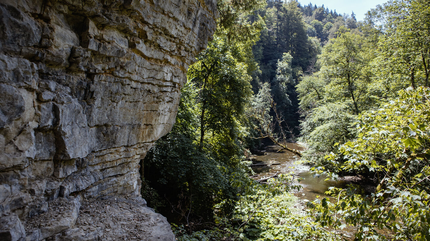 der Schluchtensteig-Wanderweg bietet Ausblicke über die Wutachschlucht