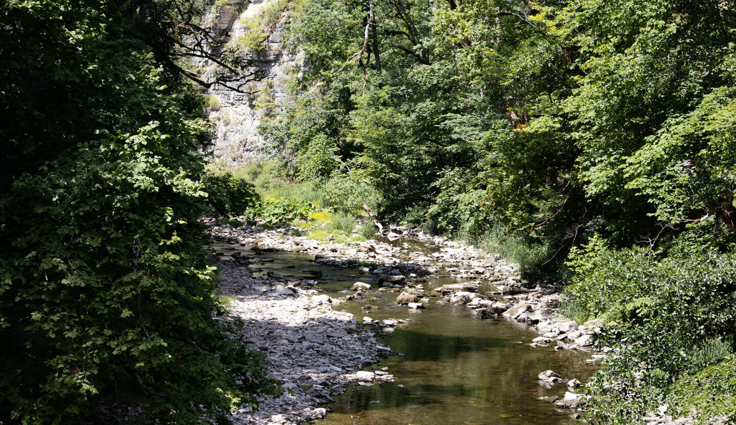 das steinige Bachbett der Wutach