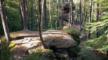 Blick vom Schlangenfelsen auf den Mooskopf