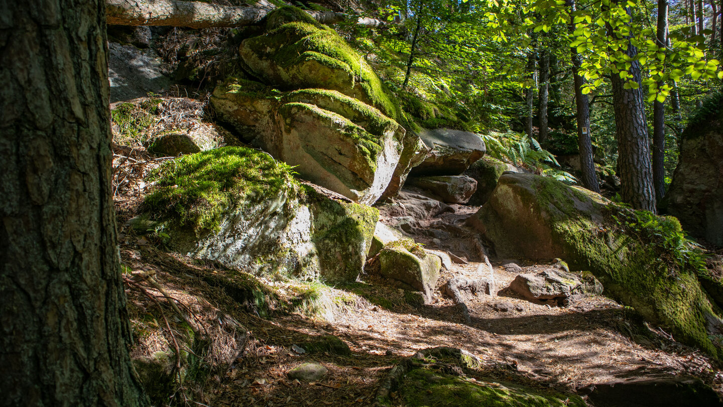 Wanderpfad durch bemooste Felslandschaft