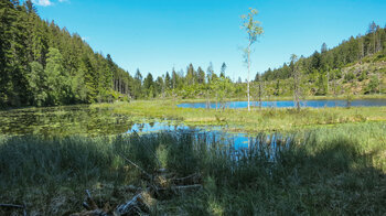 Blick auf den Huzenbacher See