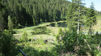 Ausblicke bei der Umrundung des Huzenbacher Sees