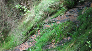 der Seltenbach-Wasserfall beim Aufstieg zum Huzenbacher Seeblick