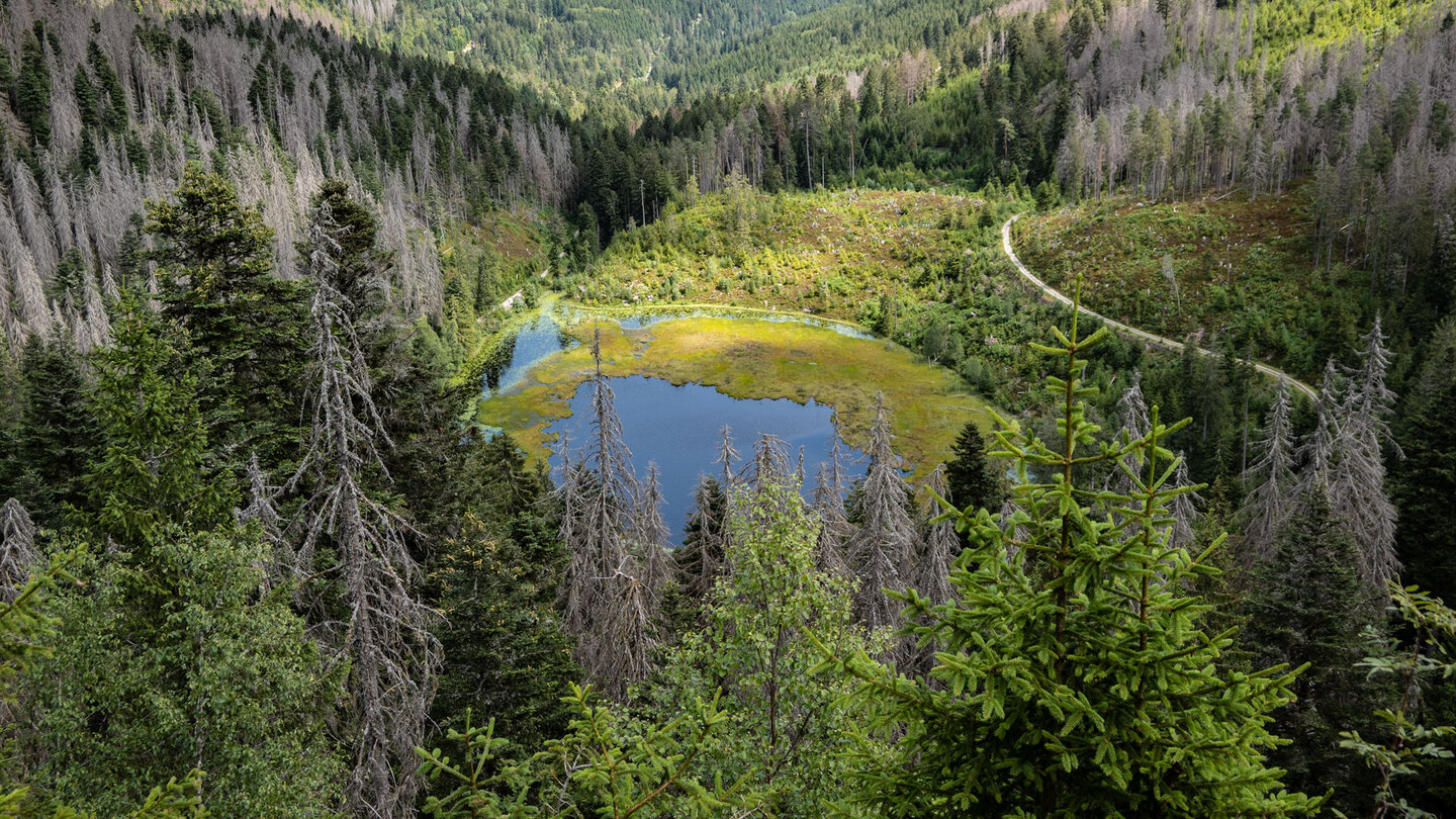 Huzenbacher Seeblick