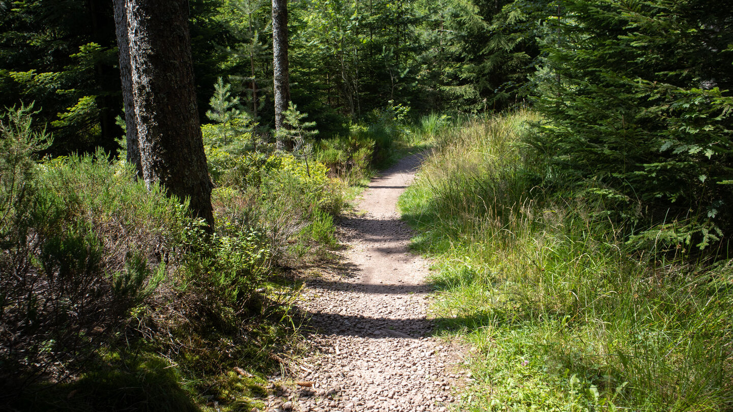 Wanderung über die Kleemisse