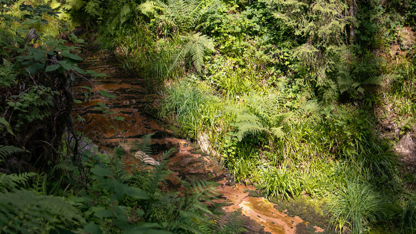 ein kleines Rinnsal am unteren Kammerloch-Wasserfall