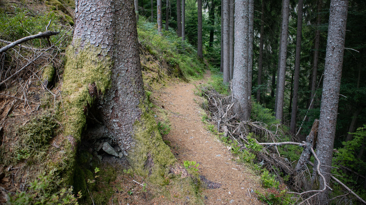 Wanderung über idyllische Pfade auf dem Wasserfallweg