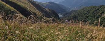 Ausblick Lac de Schiessrothried vom Col du Wormspel