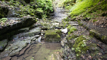 Wasserbecken beim Tränkebachwasserfall