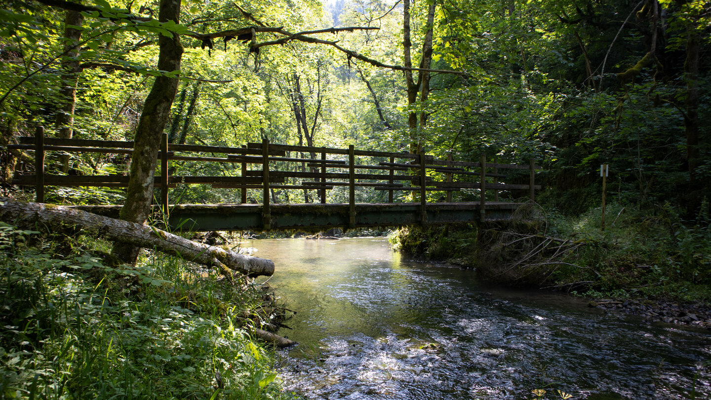 der Wanderweg quert die Gauchach über zahlreiche Brücken