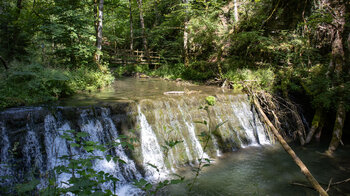 Fallstufe am Bachlauf der Gauchach