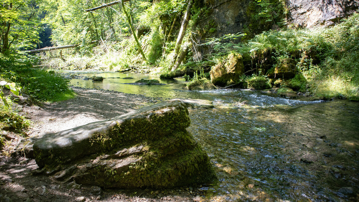 die Route führt entlang des Bachlaufs der Gauchach