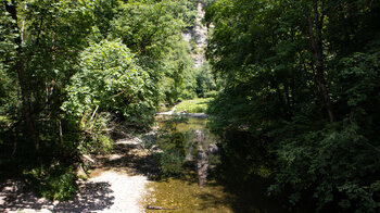 Blick über das Kiesbett der Wutach inmitten Auenlandschaft