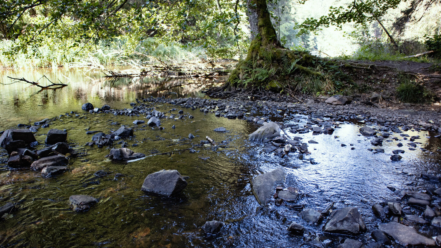 Mündung der Rötenbach in die Wutach