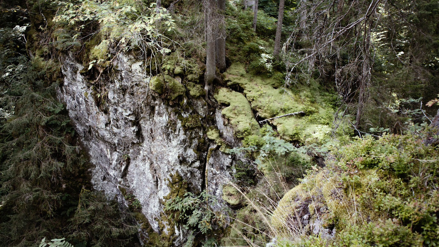 Blick auf den bewaldeten Rechenfelsen