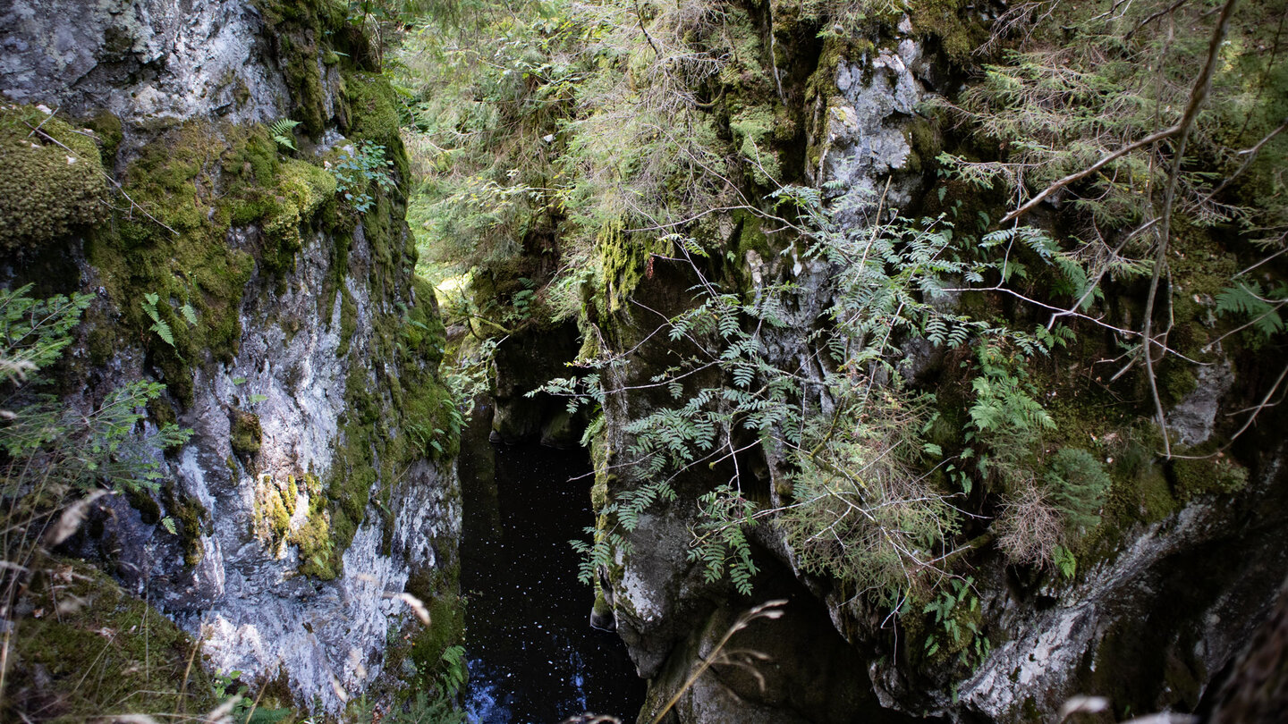 Blick vom Rechenfelsen auf die Engstelle in der Haslachschlucht