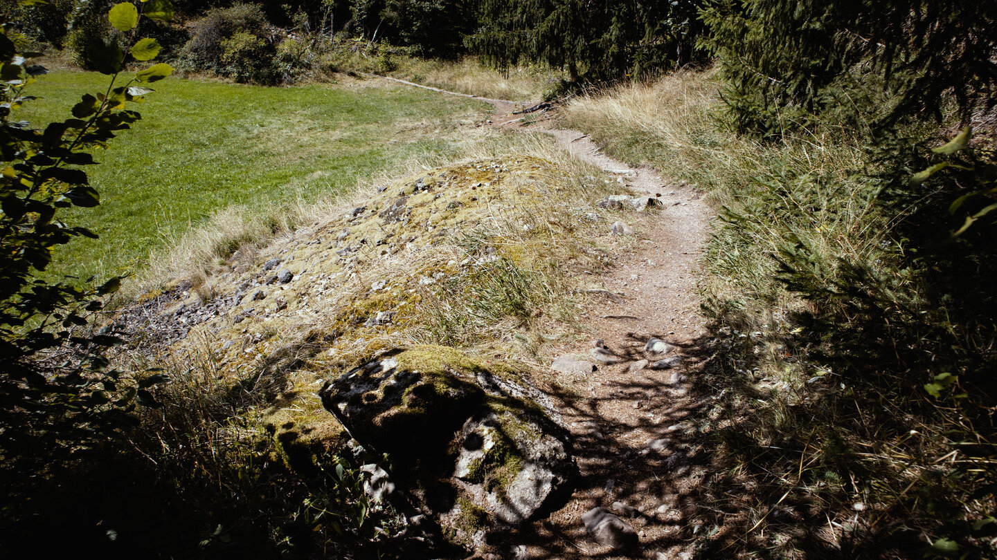 Wiesen-Wanderweg hinter Kappel Grünwald