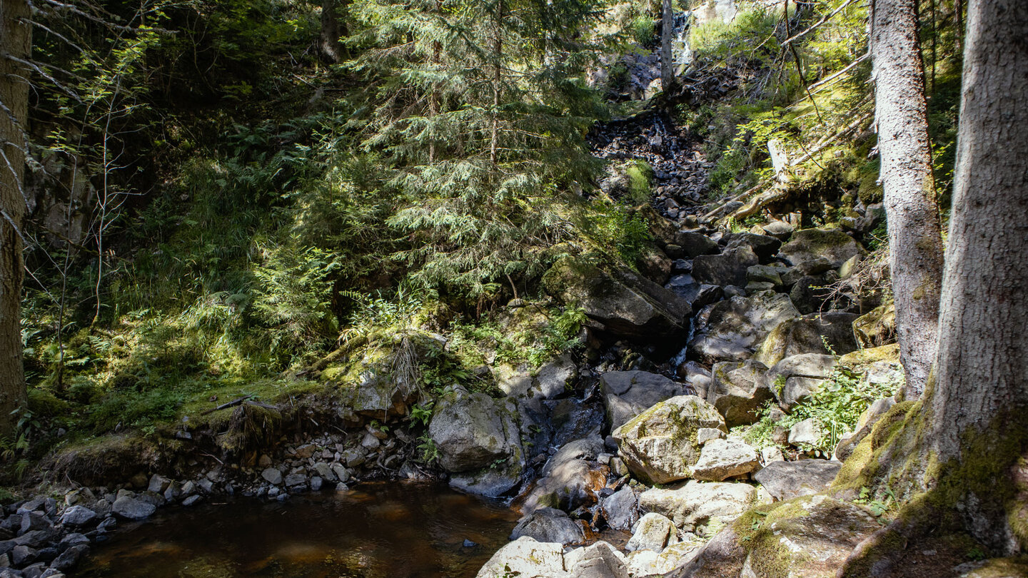 Blick auf den Roodbach-Wasserfall