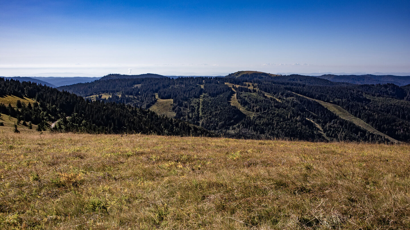 Blick vom Feldberg zum Herzogenhorn