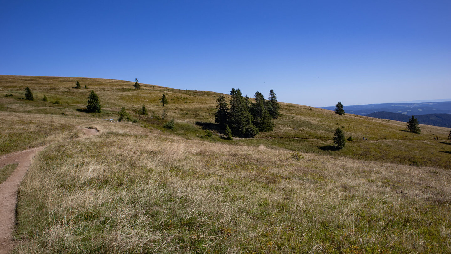 Ausblick über die Aufstiegsroute vom Grübele