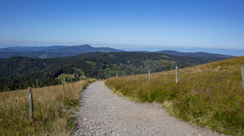 aussichtsreiche Abwanderung vom Feldberg entlang des Westwegs