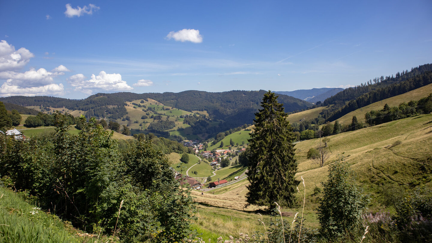 Ausblick auf Wieden vom Wiedener Eck