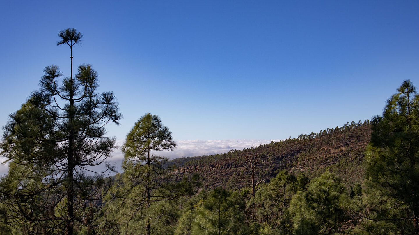 Blick über den Naturpark Corona Forestal aufs Wolkenmeer