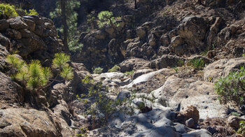 Wandern entlang des atemberaubenden Barranco de las Hiedras